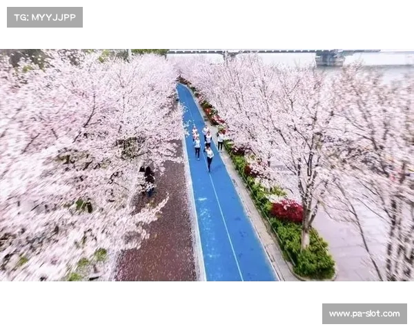 45万人涌向樱花盛会 江城奔跑经济学带动春季消费新热潮 45万人涌向樱花盛会 江城奔跑经济学带动春季消费新热潮