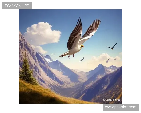 风暴中心的逆袭之路:如何在质疑声中崭露头角并超越自我 风暴中心的逆袭之路:如何在质疑声中崭露头角并超越自我