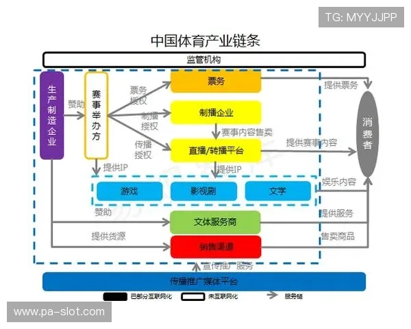 以凤凰体育为核心解读中国体育内容生态与赛事传播新趋势分析研究